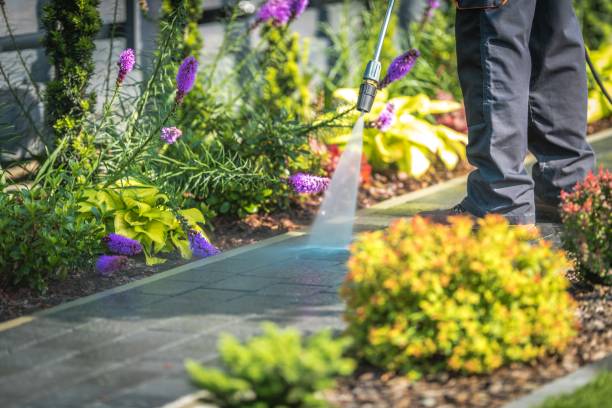 Best Post-Construction Pressure Washing  in Saxapahaw, NC