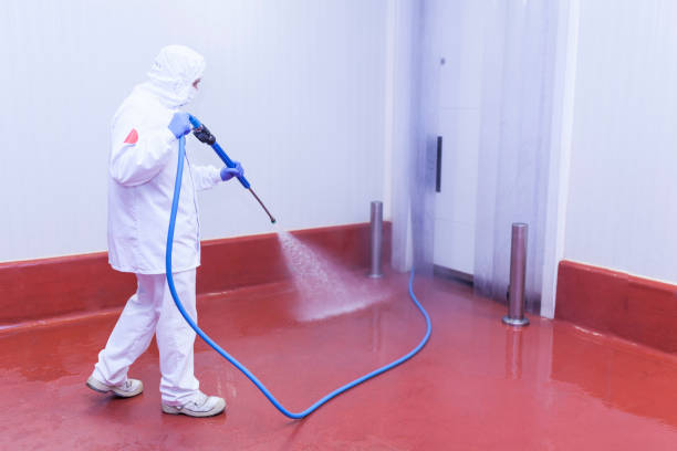 Best Driveway Pressure Washing  in Saxapahaw, NC